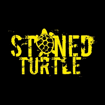 Foto band emergente Stoned Turtle